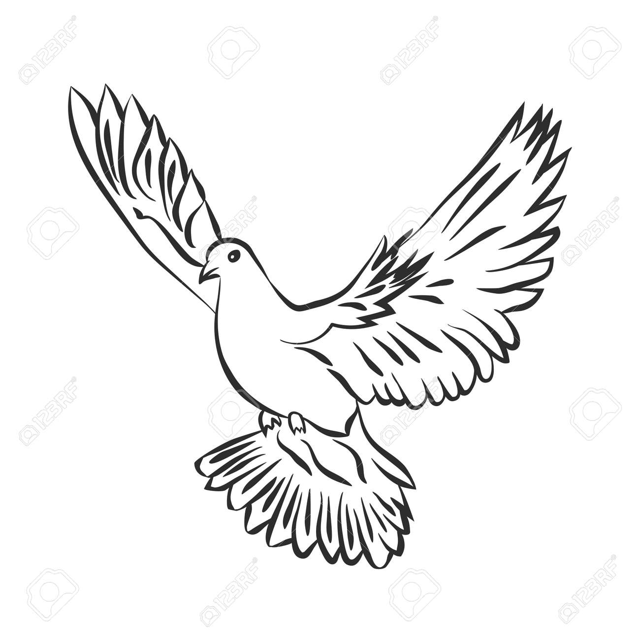 dove sketch