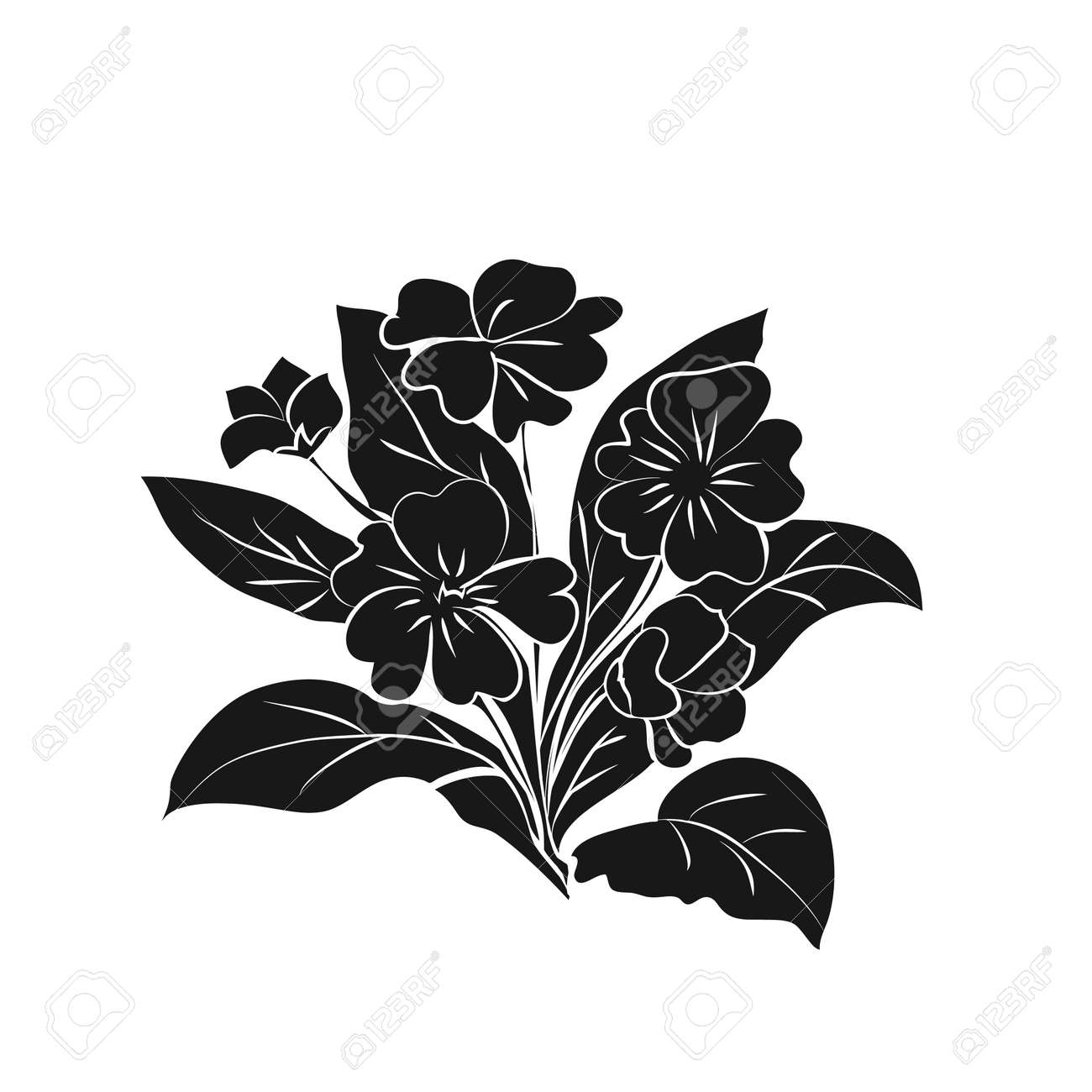 白い背景にプリムローズのイラスト 白い背景にプリムラの黒いシルエット ベクトル図 のイラスト素材 ベクタ Image