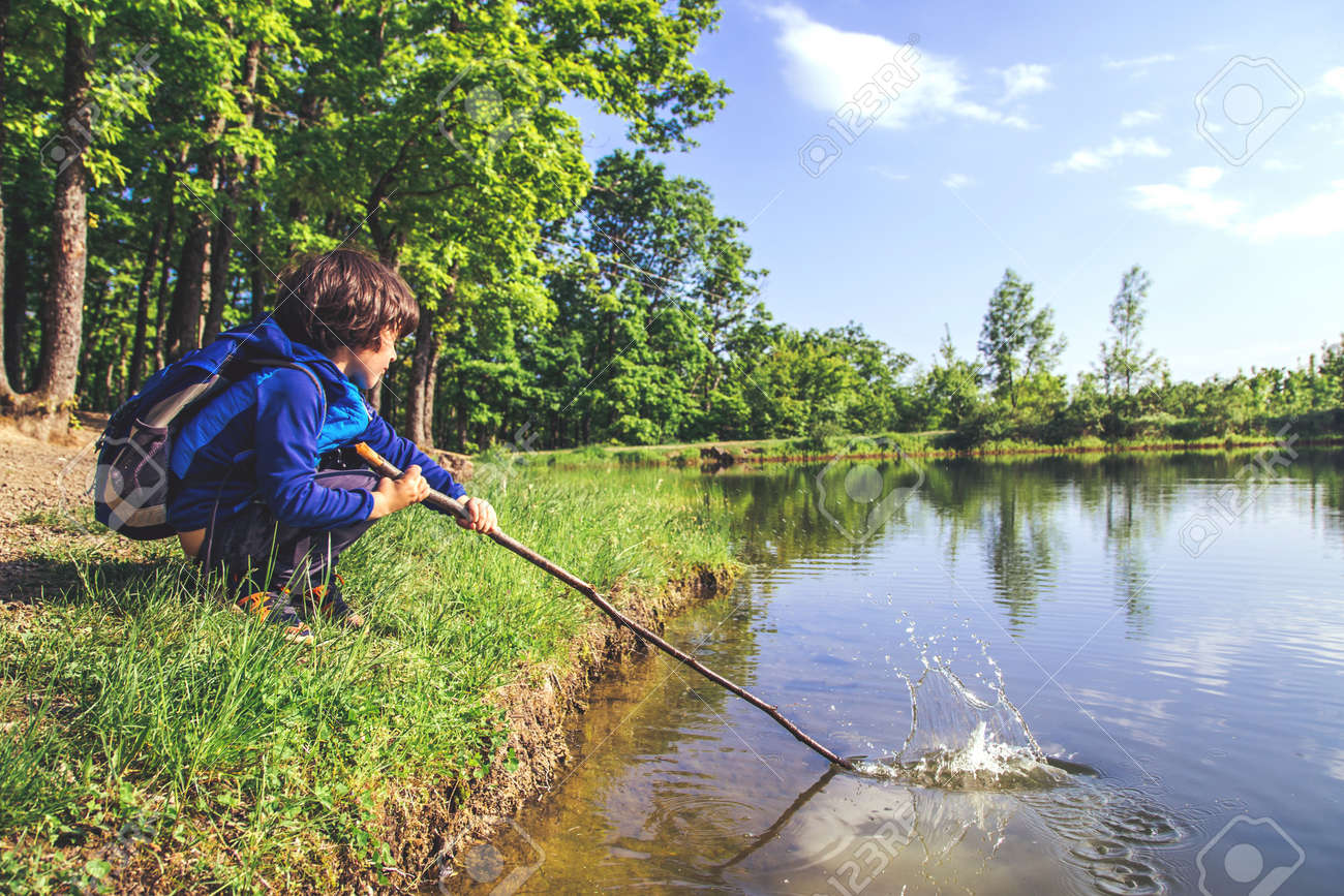 the forest fishing rod