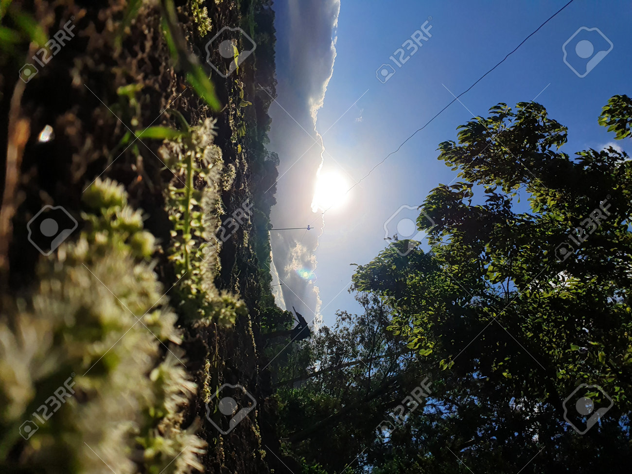 etiam-dictum-ipsum-a-felis