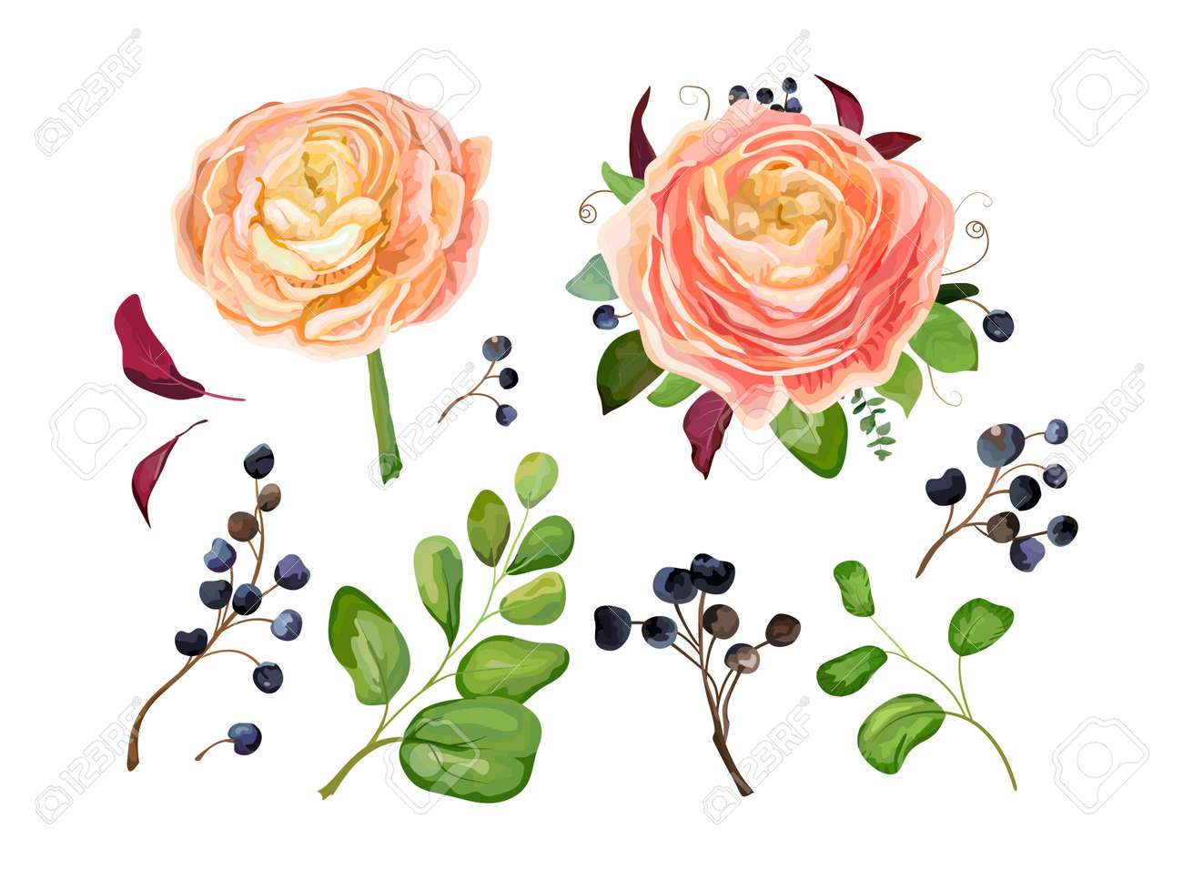 Ensemble Déléments De Grandes Fleurs Vectorielles Rose Bouquet De Fleurs De Renoncule De Pêche Rose Branche De Baies Bleues Fougère De La Forêt