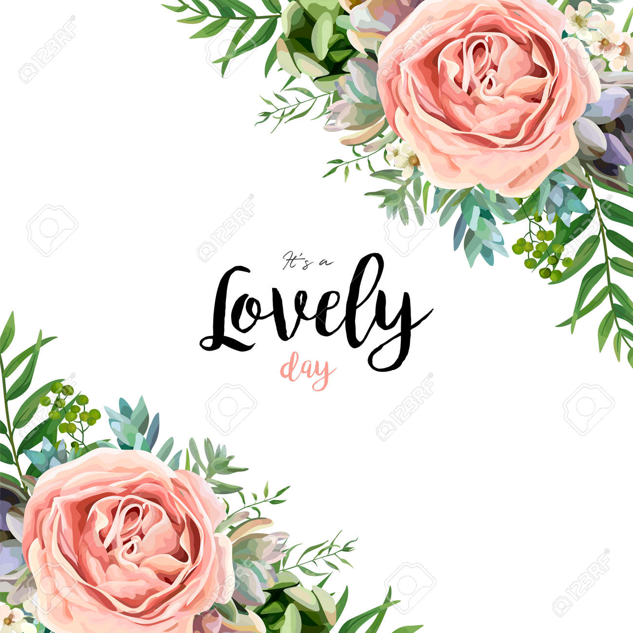 Vector floral card frame bouquet design with garden pink peach lavender Rose wax flower Eucalyptus branch green fern palm leaves succulent berry illustration Watercolor designer corner border template - 92780808 Vector floral card frame bouquet design with garden pink peach lavender Rose wax flower Eucalyptus branch green fern palm leaves succulent berry illustration Watercolor designer corner border template - 92780808