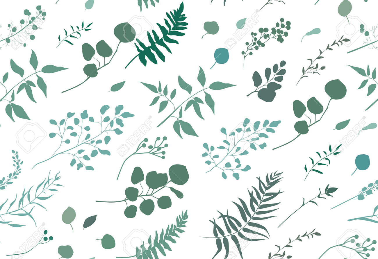 Seamless pattern of Eucalyptus palm fern different tree, foliage natural branches, green leaves, herbs, berries tropical heel hand drawn silhouette watercolor Vector beauty elegant background on white - 92801220 Seamless pattern of Eucalyptus palm fern different tree, foliage natural branches, green leaves, herbs, berries tropical heel hand drawn silhouette watercolor Vector beauty elegant background on white - 92801220