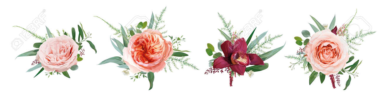 Vector floral bouquet design: pale coral Juliette rose flower, dusty pink, peach roses, burgundy red orchid, amaranth, Eucalyptus branch greenery leaf, tender fern. Wedding card watercolor element set - 167020150 Vector floral bouquet design: pale coral Juliette rose flower, dusty pink, peach roses, burgundy red orchid, amaranth, Eucalyptus branch greenery leaf, tender fern. Wedding card watercolor element set - 167020150
