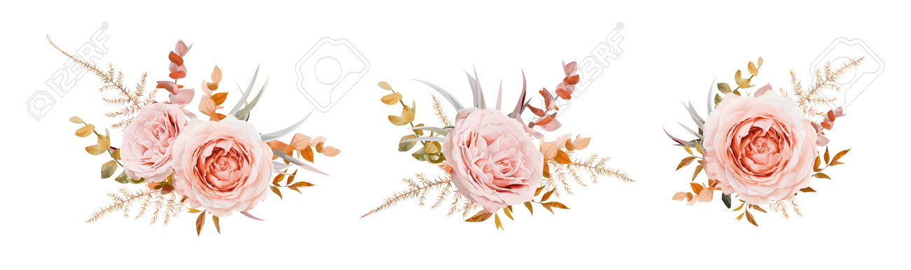 Vector floral bouquet design. Pink, blush peach Roses, fall, winter tones taupe, brown beige cream autumn Eucalyptus branch, leaves, fern. Wedding invite card decorative elegant watercolor element set - 167020152 Vector floral bouquet design. Pink, blush peach Roses, fall, winter tones taupe, brown beige cream autumn Eucalyptus branch, leaves, fern. Wedding invite card decorative elegant watercolor element set - 167020152