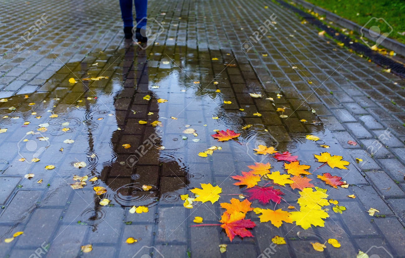 Résultat de recherche d'images pour "automne pluie pinterest"