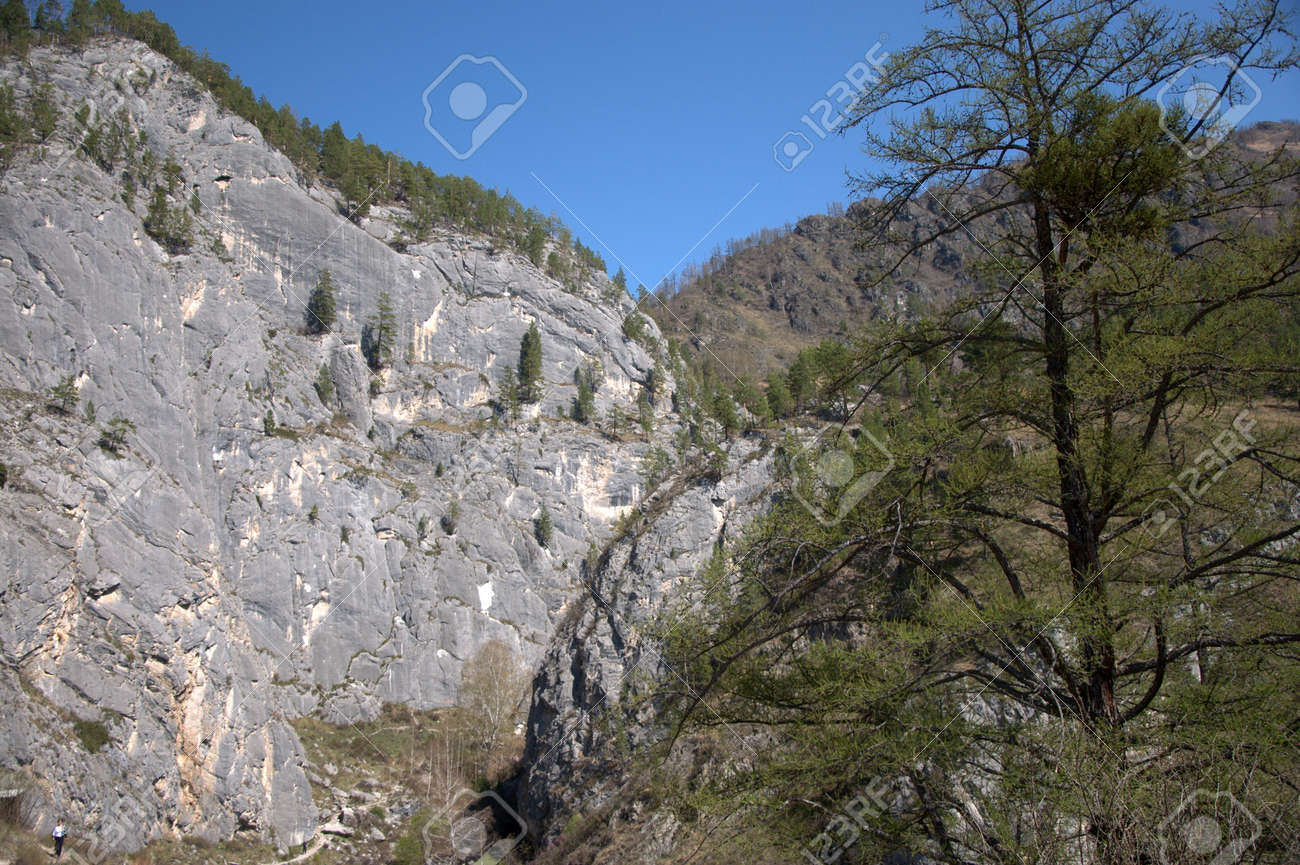 きれいな青空に対するヌードアルタイ山脈。アルタイ、シベリア、ロシア。の写真素材・画像素材 Image 124636987