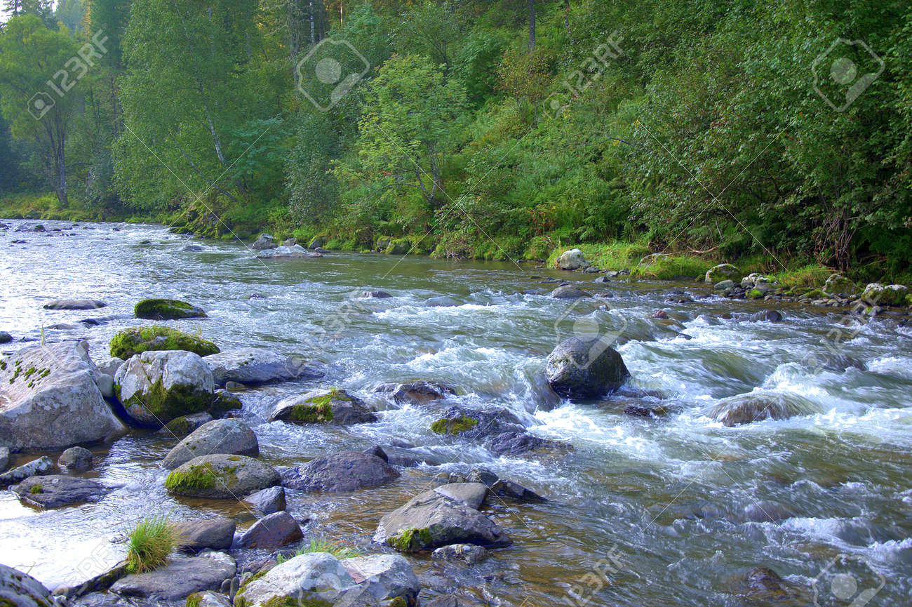 A stream of a turbulent river swiftly flowing through the exaggerated forest, skirting stone boulders on its way. Iogach River, Altai, Siberia, Russia. - 138985457 A stream of a turbulent river swiftly flowing through the exaggerated forest, skirting stone boulders on its way. Iogach River, Altai, Siberia, Russia. - 138985457