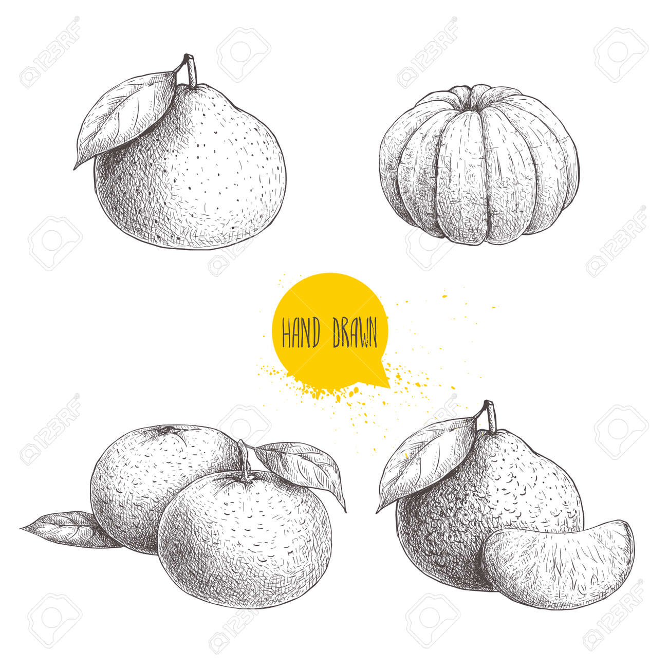 手描きのスケッチは 全体と皮をむいたみかんを設定します ビンテージ スタイルとタンジェリンの図葉をスライス エコ食品ベクター アートワークの白い背景に分離されました のイラスト素材 ベクタ Image