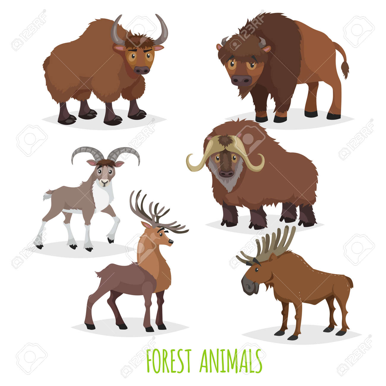 Set of woodland and forest hoofed and horned animals. Europe and North America fauna collection. Yak, bison, urial (mountain male sheep), musk ox, deer and moose. - 156128330 Set of woodland and forest hoofed and horned animals. Europe and North America fauna collection. Yak, bison, urial (mountain male sheep), musk ox, deer and moose. - 156128330