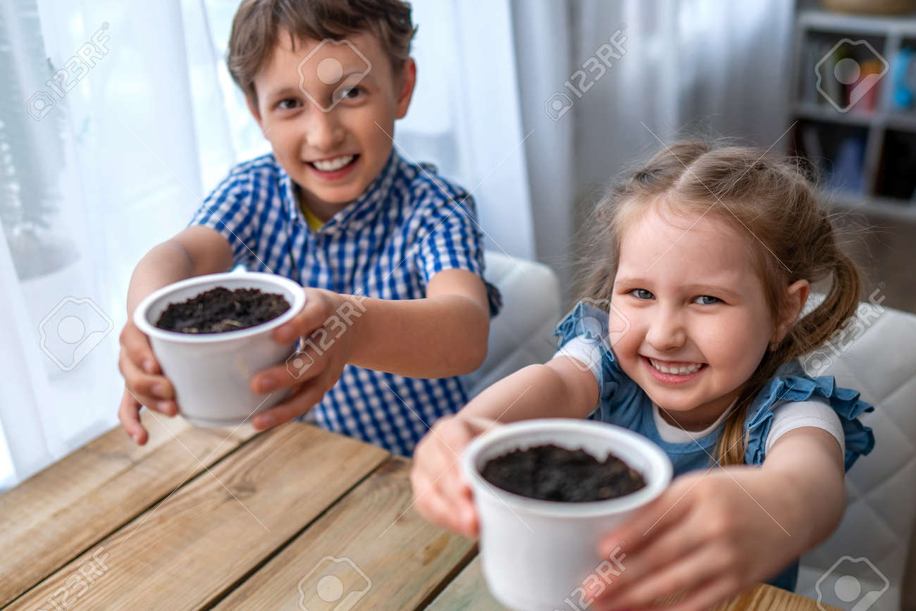 Cute boy and girl sitting at table and engaged in sowing seeds for cultivation. Children sow seeds in ground and cheerfully hold out pots. concept of growing your own vegetables. Natural gardening. - 146984517 Cute boy and girl sitting at table and engaged in sowing seeds for cultivation. Children sow seeds in ground and cheerfully hold out pots. concept of growing your own vegetables. Natural gardening. - 146984517