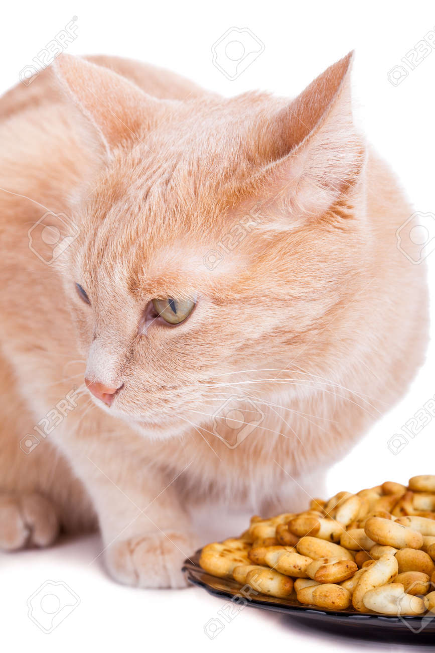 Red Chat Mange Forme De Poisson Biscuit Isole Sur Blanc Banque D Images Et Photos Libres De Droits Image