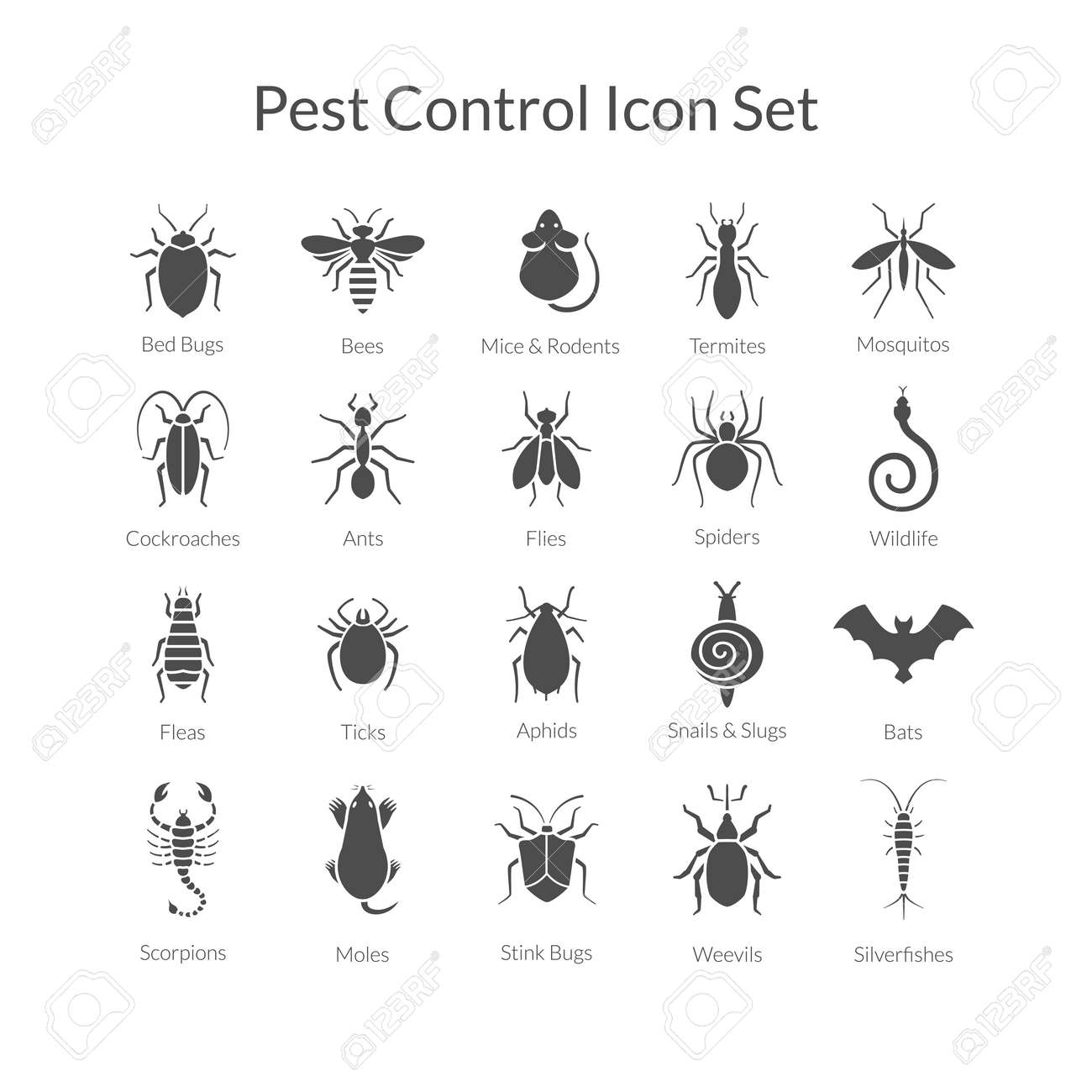 Vector black and white icons of different insects like scorpions, stink bugs, bed bugs, weevils and termites for pest control companies. Included some animals like bats, moles, mice and snakes. - 50024597 Vector black and white icons of different insects like scorpions, stink bugs, bed bugs, weevils and termites for pest control companies. Included some animals like bats, moles, mice and snakes. - 50024597