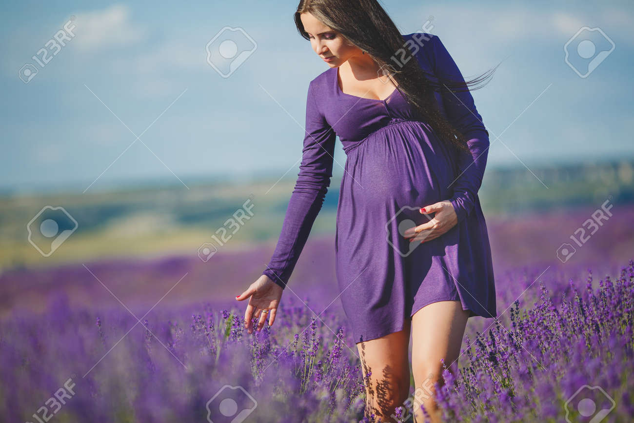 ラベンダーの花のバスケットとラベンダー畑の長い髪のかなり妊娠中の女性 若いロマンチックな妊娠中の女性は 紫色のラベンダー畑からいくつかラベンダー を選択します ドレスで ラベンダーの花束 の写真素材 画像素材 Image