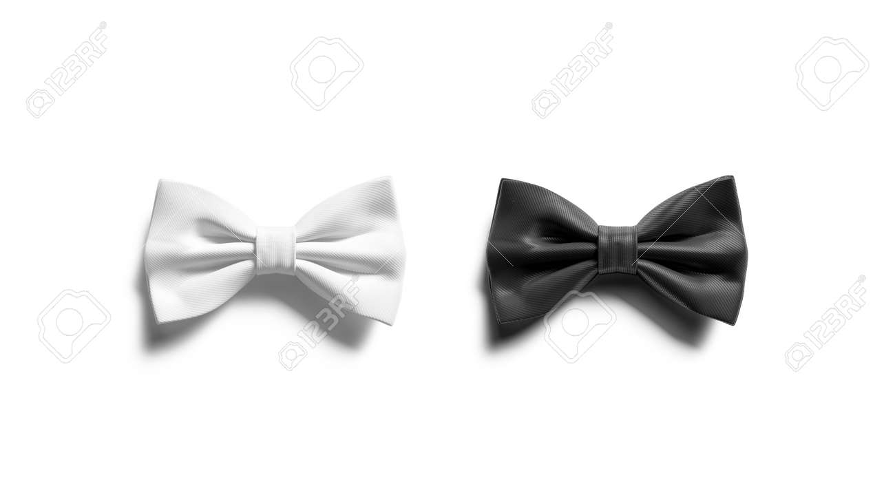 Download Blank Black And White Bow Tie Mock Up Top View Stock Photo Picture And Royalty Free Image Image 134675560
