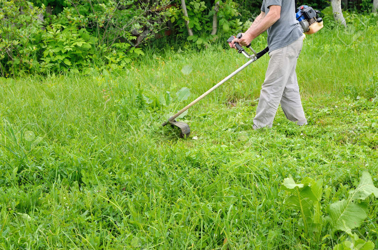 Man Mahen Rasenmaher Grun Junge Gras Gartner Tun Saisonarbeit Loschen Der Garten Von Unkraut Lizenzfreie Fotos Bilder Und Stock Fotografie Image 61685032