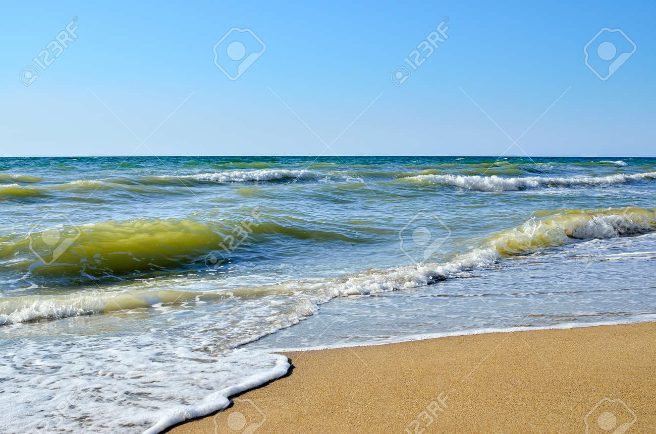 海の波は洗浄というシェルで作ったきれいなビーチです 野生のビーチを風景します 夏の海 の写真素材 画像素材 Image 海の波は洗浄というシェルで作ったきれいなビーチです 野生のビーチを風景します 夏の海 の写真素材 画像素材 Image