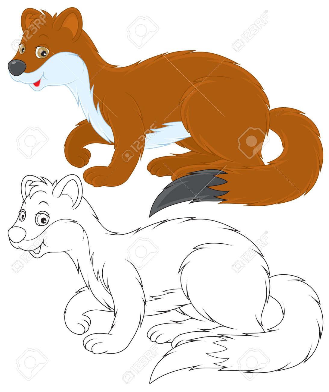 オコジョ のイラスト素材 ベクタ Image