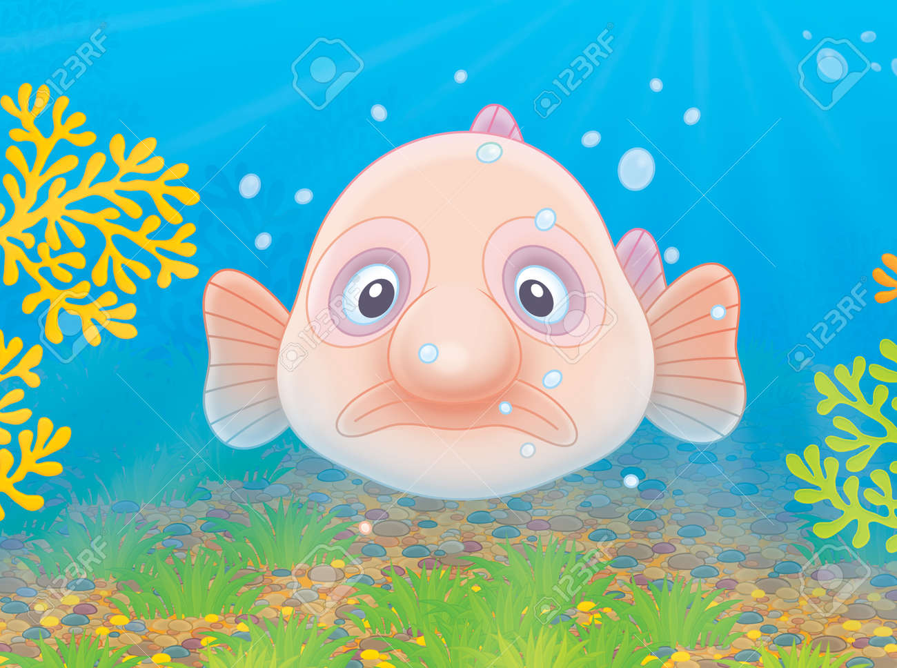 sad blob fish stock photo picture and royalty free image image