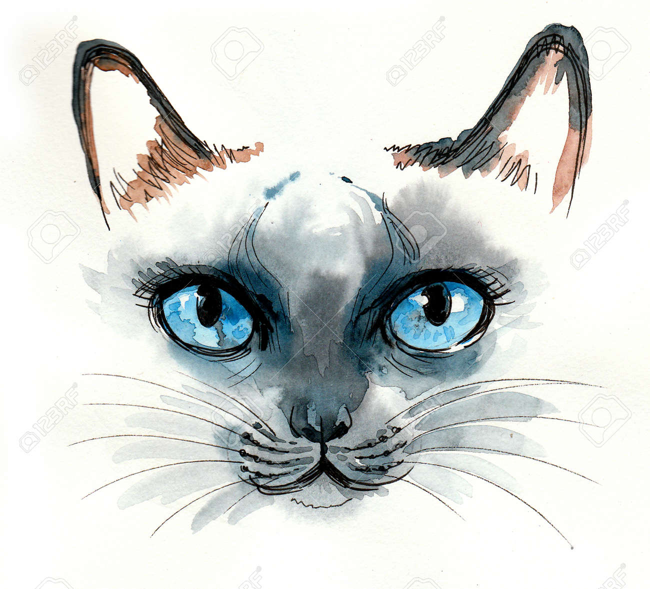 手描き猫のインク画