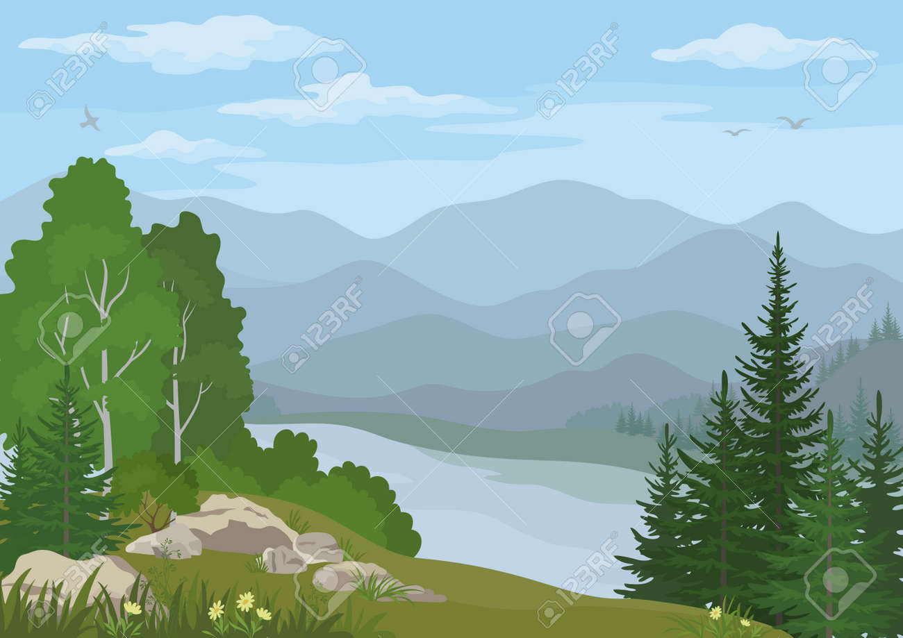 Landscape With Birch Fir Trees Flowers And Grass On The Rocky Royalty Free Cliparts Vectors And Stock Illustration Image 44129253
