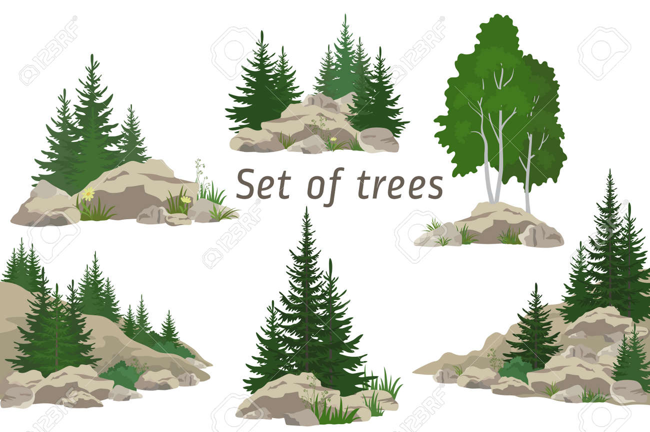 Set Landscapes, Isolated on White Background Coniferous and Deciduous Trees, Flowers and Grass on the Rocks. ector - 52961192 Set Landscapes, Isolated on White Background Coniferous and Deciduous Trees, Flowers and Grass on the Rocks. ector - 52961192