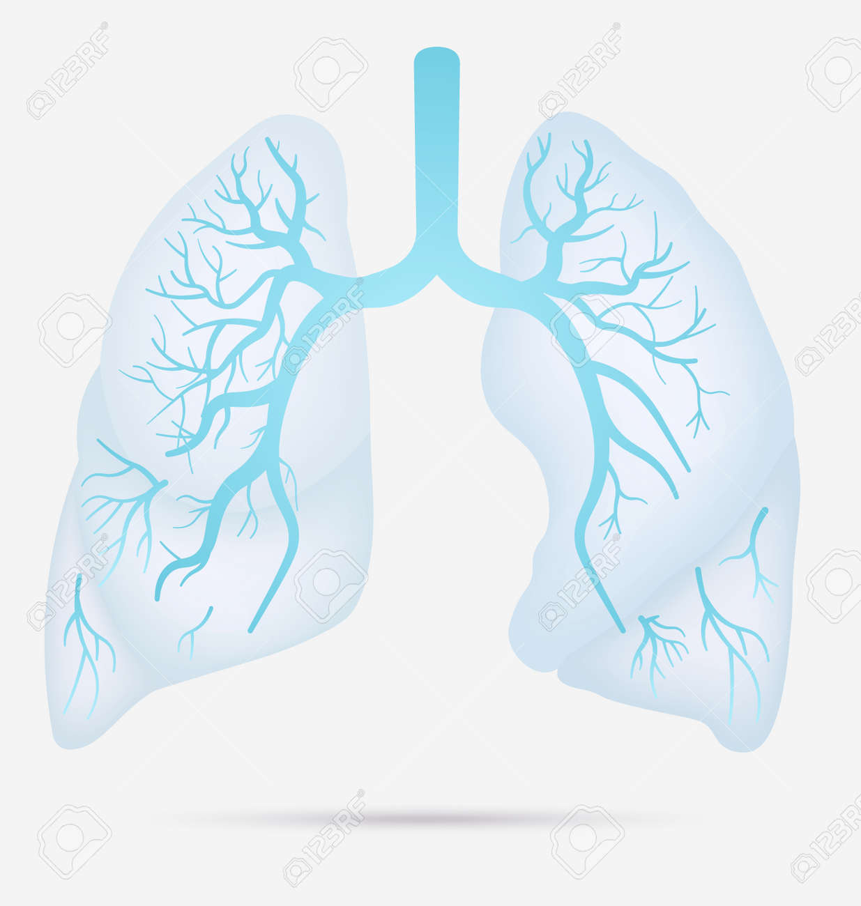 喘息 結核 肺炎のため人間の肺の解剖学 詳細図に肺がん図 呼吸や呼吸器系 ベクトル のイラスト素材 ベクタ Image