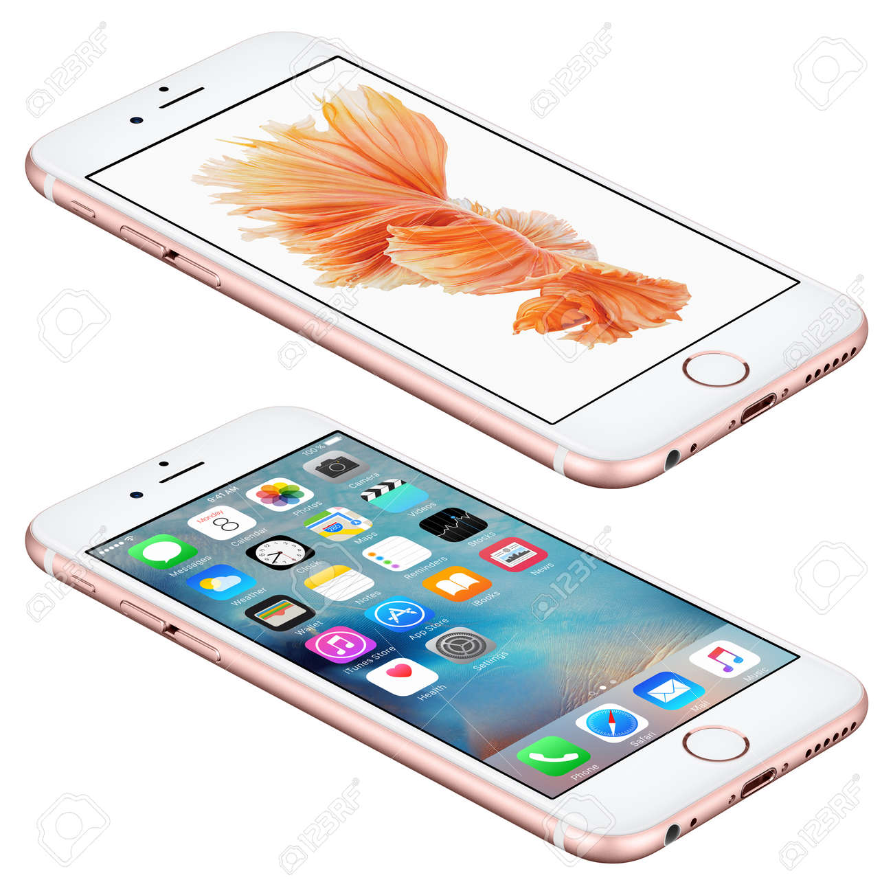 ヴァルナ ブルガリア 15 年 10 月 25 日 ローズ ゴールド アップル Iphone 6 S サーフェス上にある Ios と 9 のモバイルオペレーティング システムとシャムの戦いの魚壁紙画面上 白で隔離 の写真素材 画像素材 Image 5545