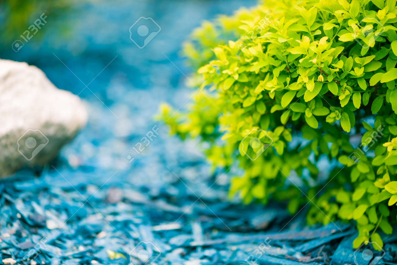 beautiful natural spring decoration - 122576619 beautiful natural spring decoration - 122576619
