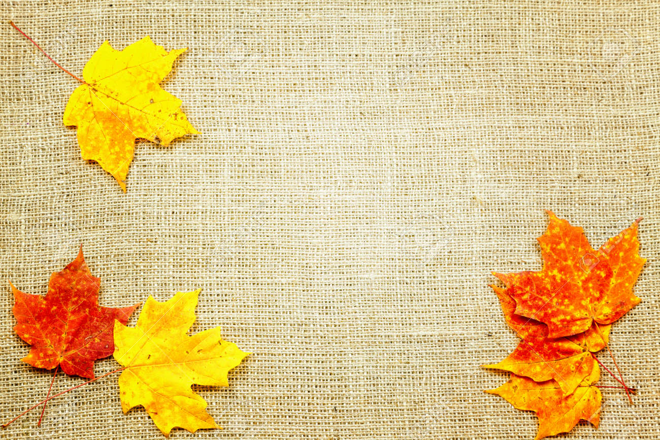fall themed background of burlap and colorful leaves stock photo