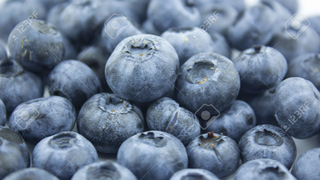 Close-up of ripe juicy blueberries on a white background. - 152885349 Close-up of ripe juicy blueberries on a white background. - 152885349
