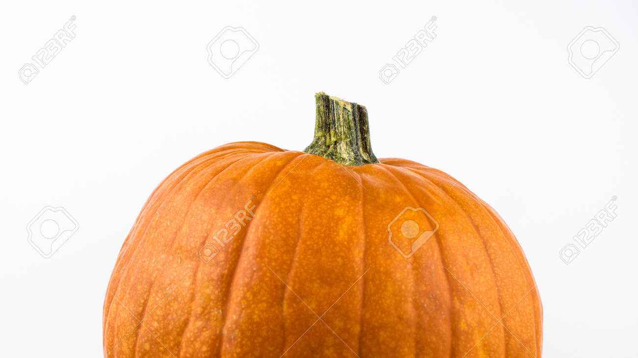 Ripe orange pumpkin on a white background. Fresh organic pumpkin on a white background. Halloween pumpkin on a white background. - 155328363 Ripe orange pumpkin on a white background. Fresh organic pumpkin on a white background. Halloween pumpkin on a white background. - 155328363