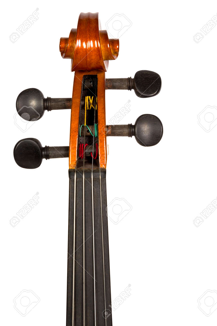 Classic violin head stock and tuning pegs brown color isolated on white background - 32099775 Classic violin head stock and tuning pegs brown color isolated on white background - 32099775