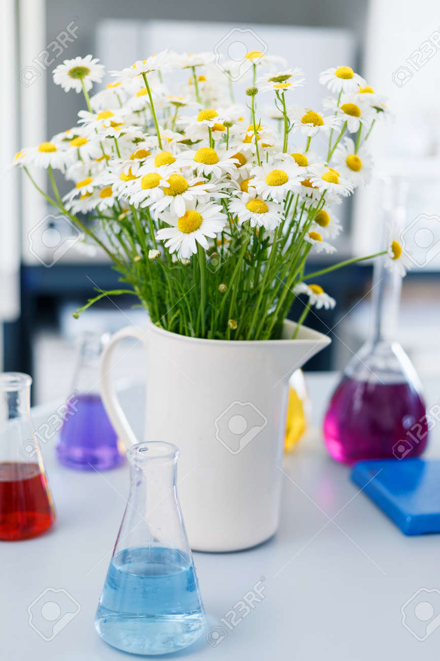 A Large Vase With Daisies In The Chemical Laboratory Flasks