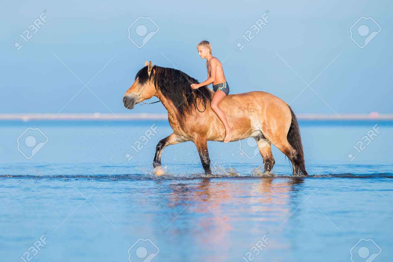 海で馬に乗る少年 馬の若いライダーは日没に水で泳ぐ 子供の青い背景の上を歩くと大きな馬 の写真素材 画像素材 Image