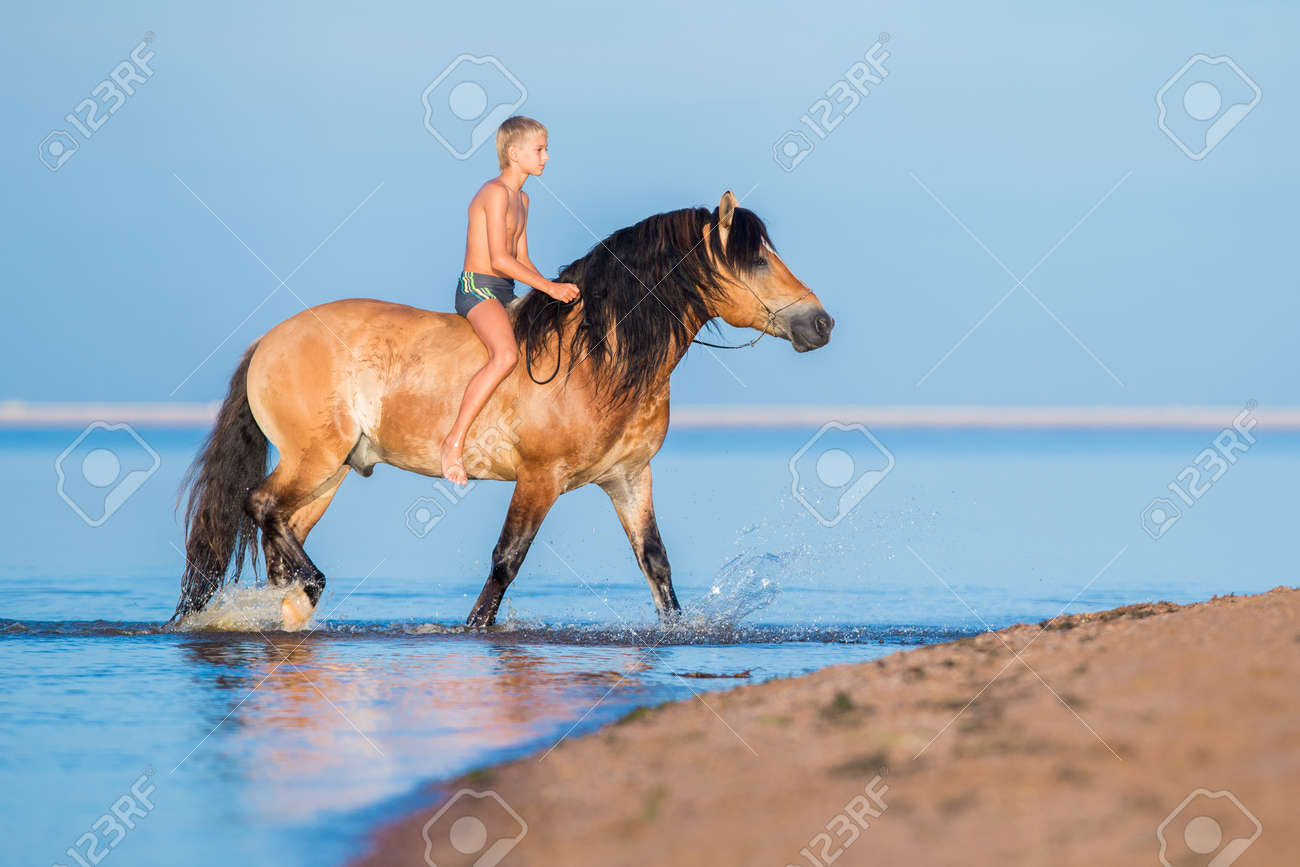 Ебет лошадь Мальчик Едет На Лошади В Море. Молодой Всадник На Лошади Плавают В Воде На Закате. Большая Лошадь С Ребенком, Ходить На Синем Фоне. Фотография, картинки, изображения и сток-фотография без роялти. Image 77478111