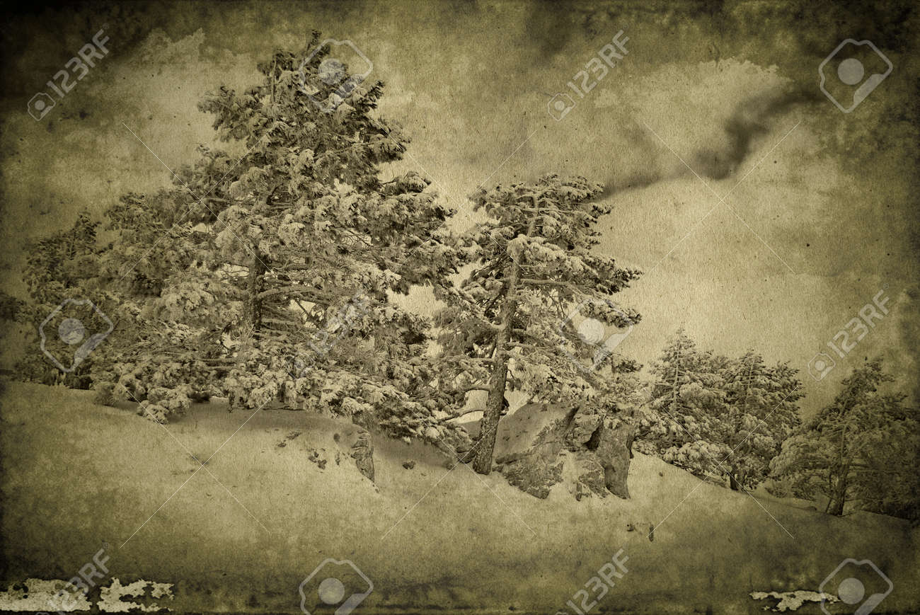 Bellissime Cartoline Paesaggio Immagini Natalizie Vintage.Immagini Stock Vintage Stile Retro Inverno Natale Foto Di Paesaggio Di Sfondo Image 15752055