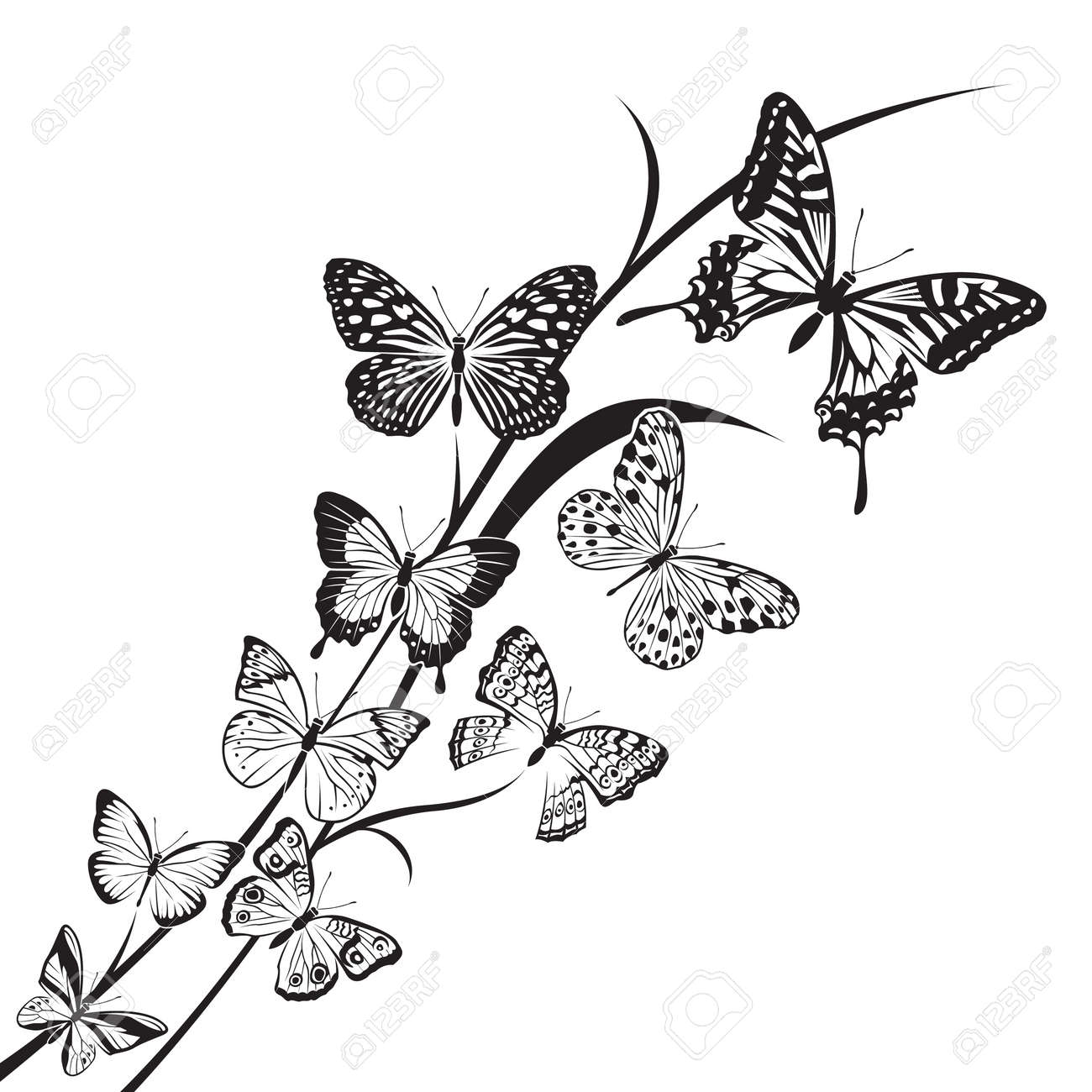 花の背景にモノクロ蝶デザイン のイラスト素材 ベクタ Image