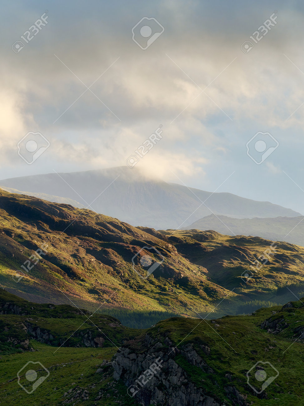 etiam-dictum-ipsum-a-felis