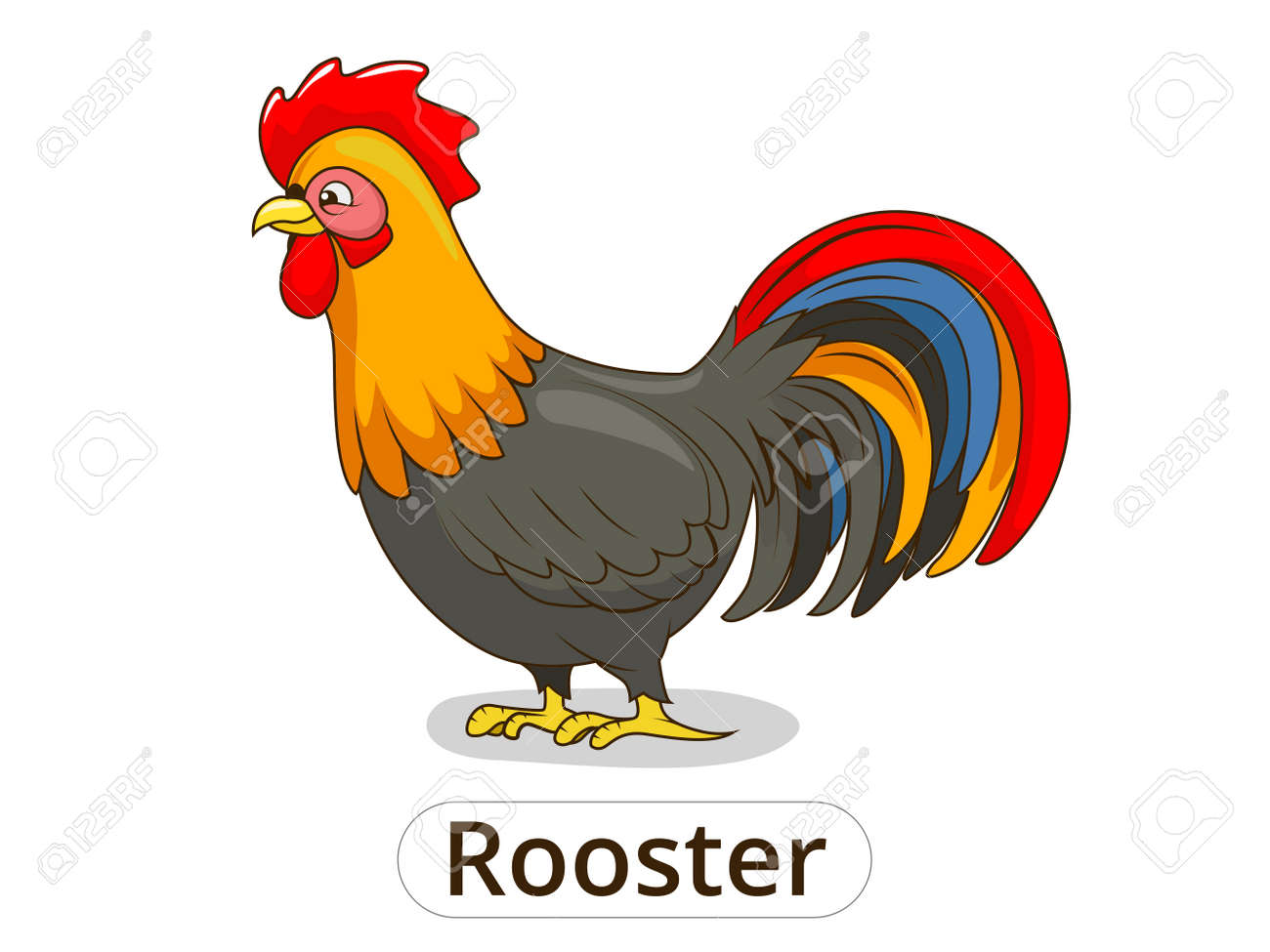 rooster animal cartoon colorful vector illustration for children