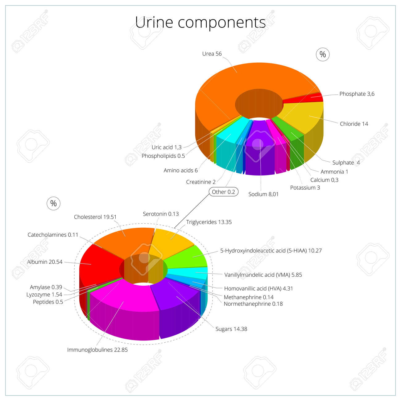 urine components medical medical educational infographic vector
