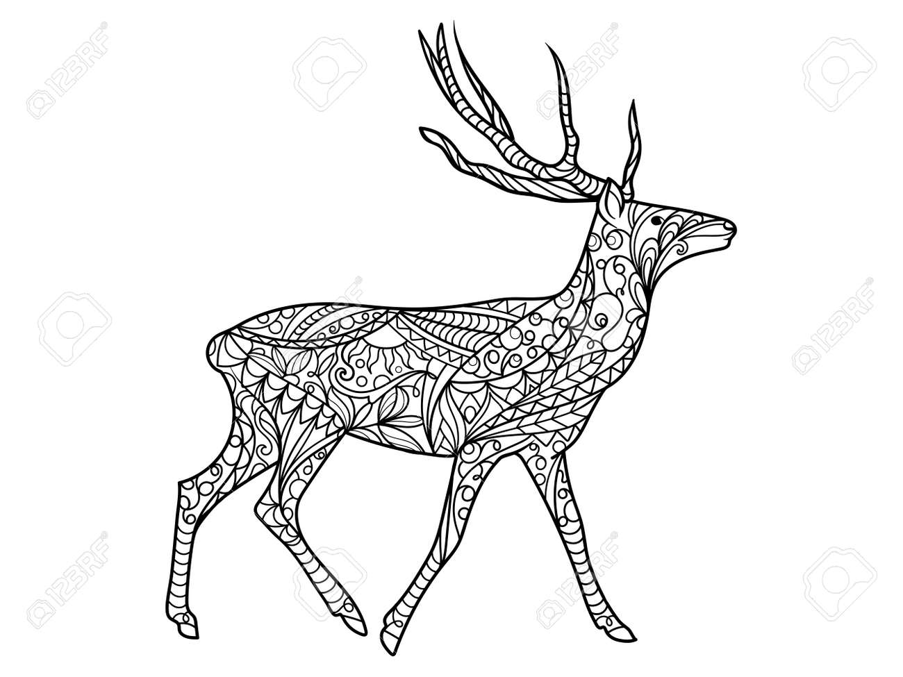deer coloring book for adults illustration anti stress coloring for adult black and