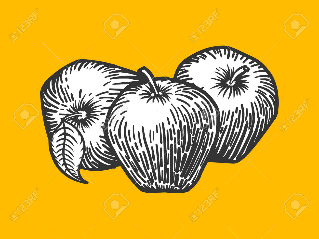 アップル彫刻スタイル ベクトル イラスト スクラッチ ボード スタイルの模倣 のイラスト素材 ベクタ Image 6006