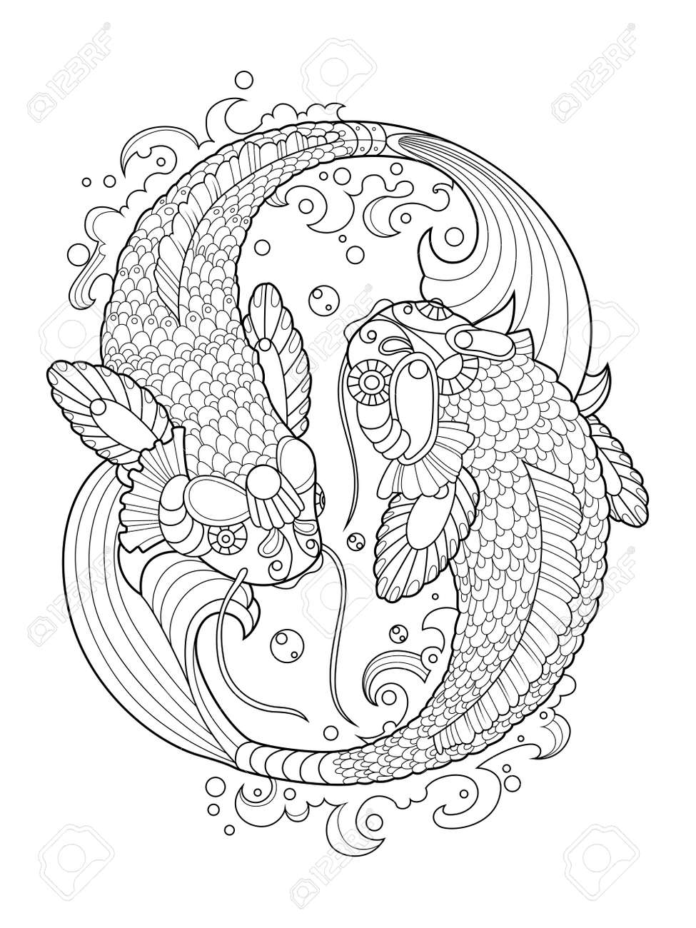 Koi Carp Fish Coloring Book For Adults Vector Illustration Anti Koi Carp Fish Coloring Book For Adults Vector Illustration Anti