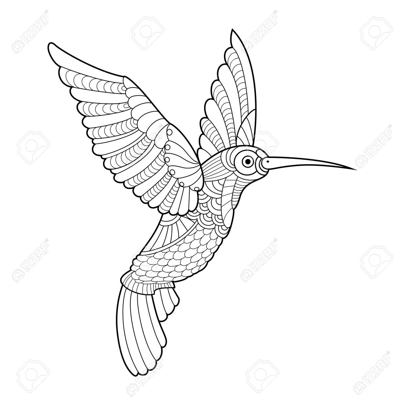 Download Hummingbird Colibri Coloring Book For Adults Vector Illustration Royalty Free Cliparts Vectors And Stock Illustration Image 64821754