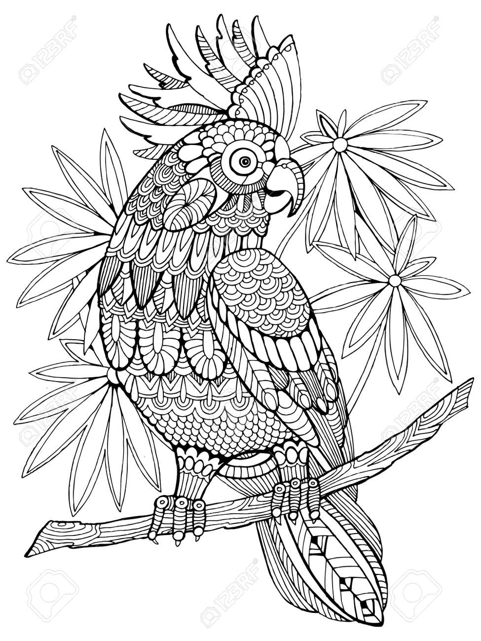 Cockatoo parrot coloring book for adults illustration Anti stress coloring for adult Tattoo