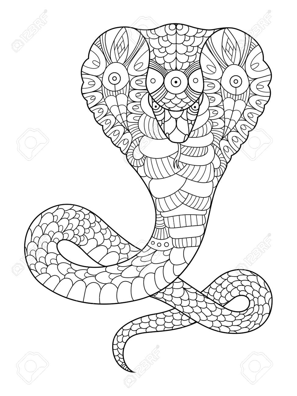 Cobra snake coloring book for adults vector illustration. Anti-stress coloring for adult. Tattoo stencil. Black and white lines. Lace pattern - 68895634 Cobra snake coloring book for adults vector illustration. Anti-stress coloring for adult. Tattoo stencil. Black and white lines. Lace pattern - 68895634
