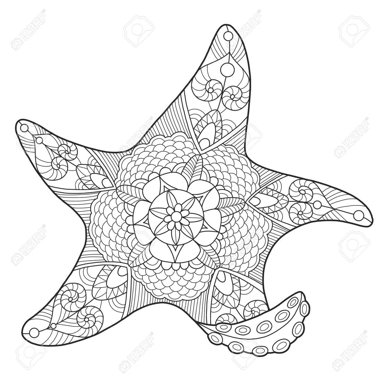 ヒトデのベクトルの大人のための塗り絵のイラスト素材 ベクタ Image 69015512