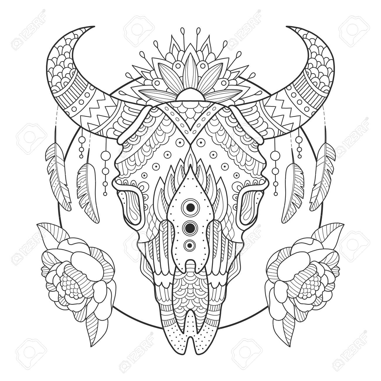 Cow Skull Coloring Book Vector Illustration Royalty Free Cliparts - Cow Skull Coloring Book Vector Illustration Royalty Free Cliparts
