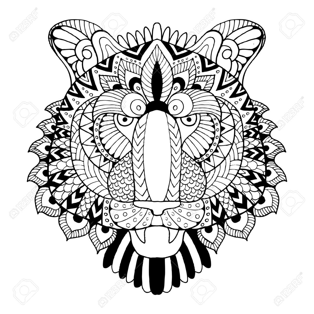 tiger coloring book vector illustration royalty free cliparts